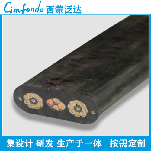 CEFBP控制扁电缆